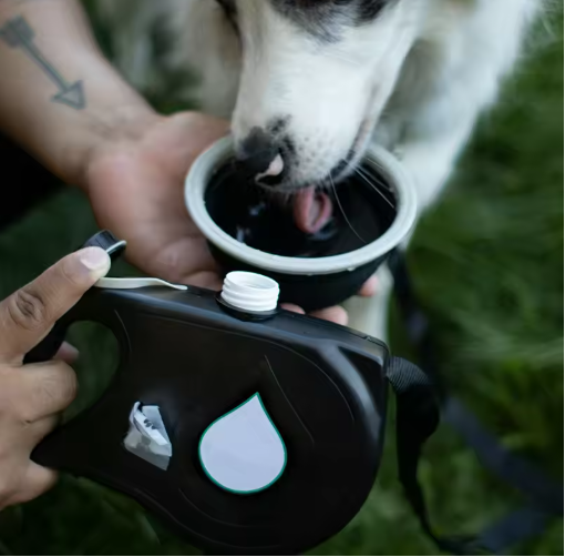 PawPaw HydroLeash