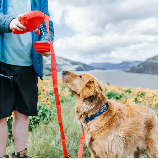 PawPaw HydroLeash
